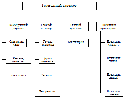 Рис. 1. Организационная структура управления