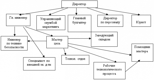Структура организации  1